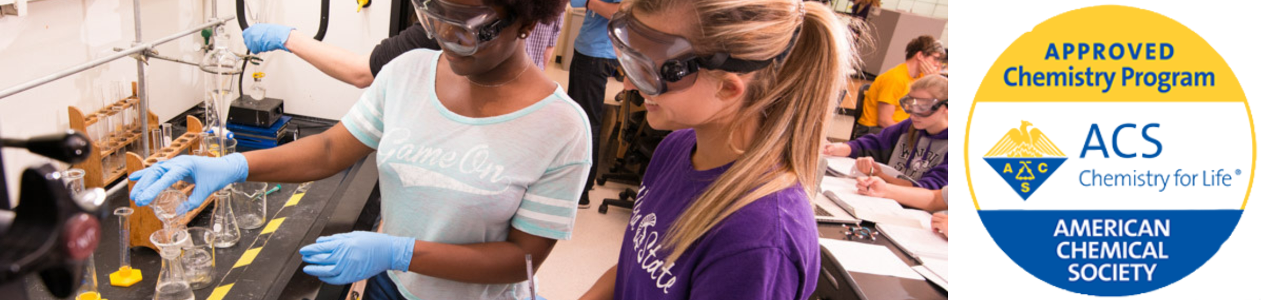 ACS Chemistry Major Program Image